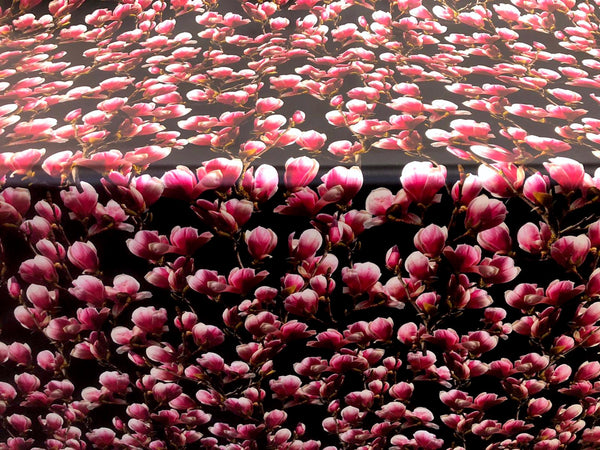 Pink Magnolias on Black Silk Satin