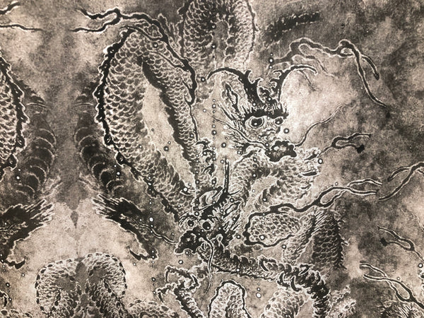 Dragon Print on Silk Georgette