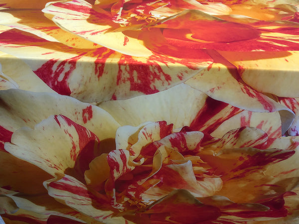 Printed Silk Crepe de Chine