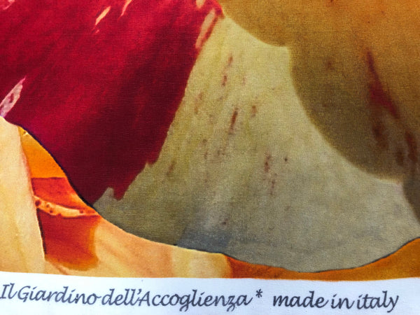 Printed Silk Crepe de Chine