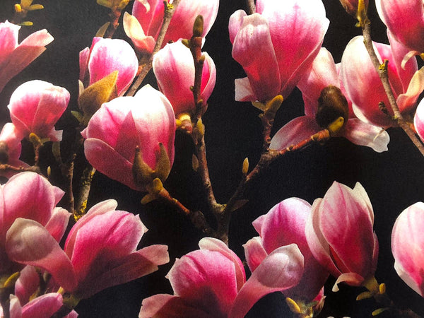 Pink Magnolias on Black Silk Satin