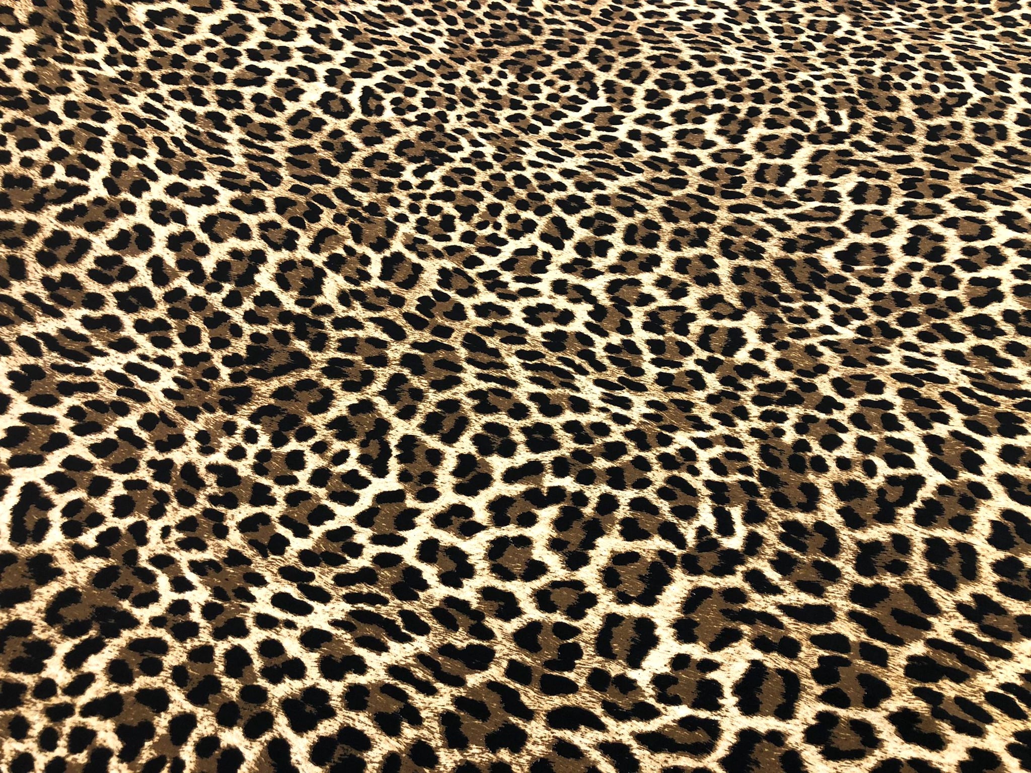 Leopard Animal Print on Fine Cotton Poplin