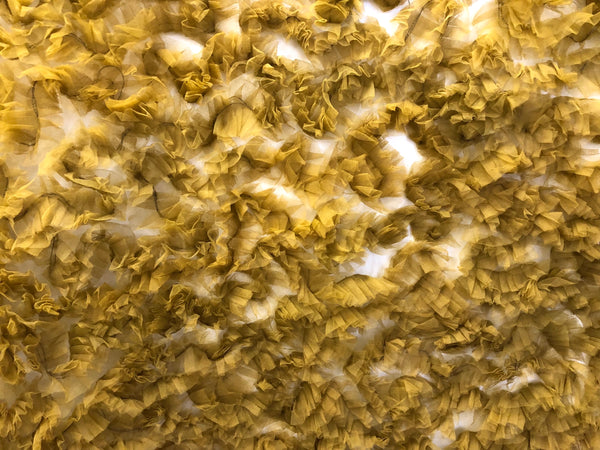 Frilly  Mesh, Mustard