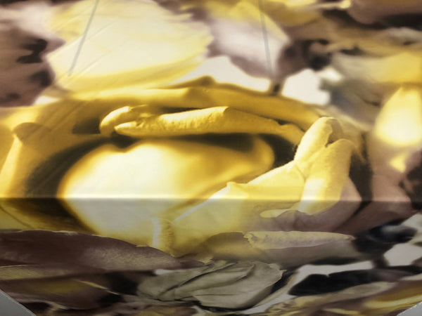 PANEL-  Print on Silk Twill , Yellow & Beige