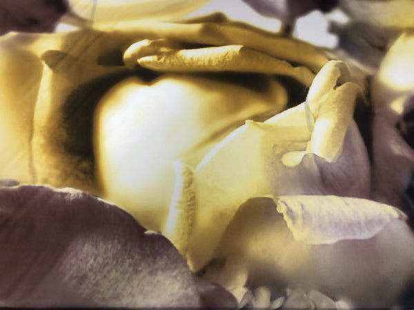 PANEL-  Print on Silk Twill , Yellow & Beige