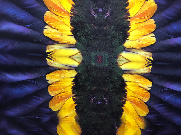 Sunfeathers Print on Heavy Viscose