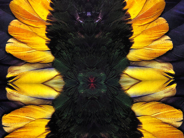 Sunfeathers Print on Heavy Viscose