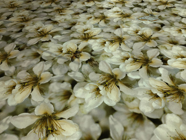 Spring Blossom on Satin,Olive