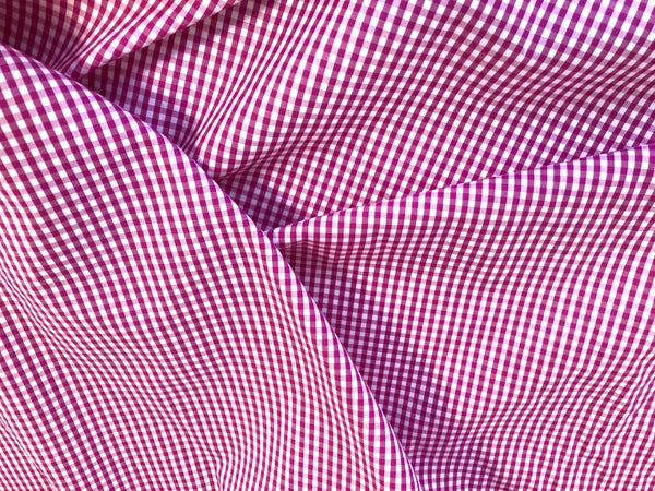White & Orchid Purple Gingham