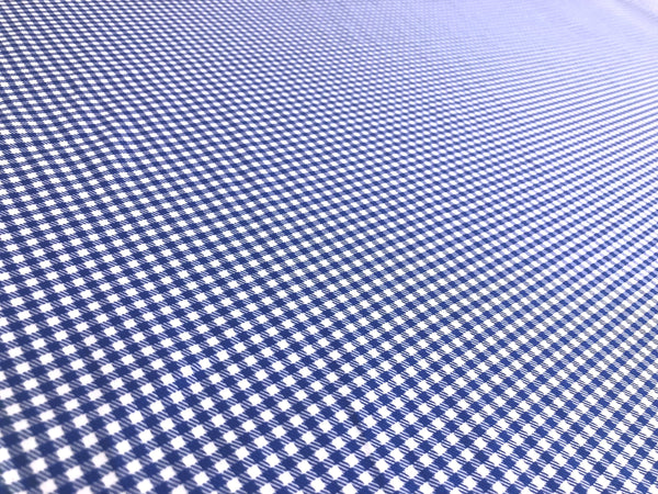 White & Blue Gingham