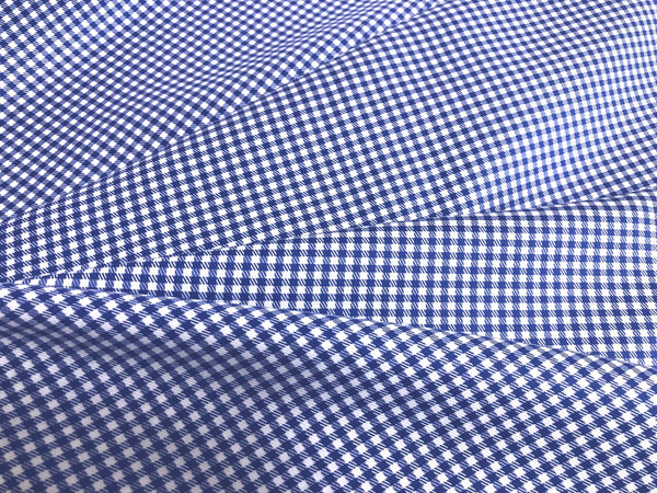 White & Blue Gingham