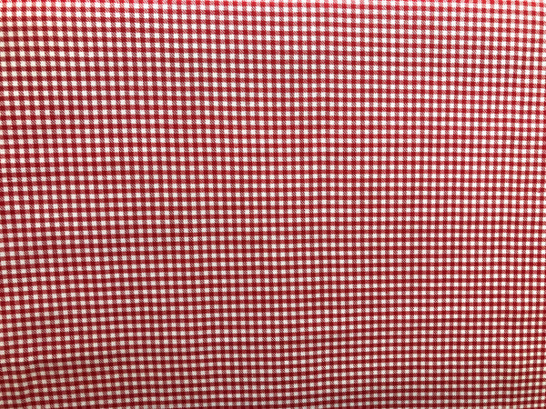 White & True Red Gingham