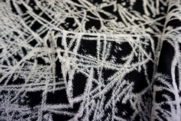 Black Melton with 'White Frost' Embroidery