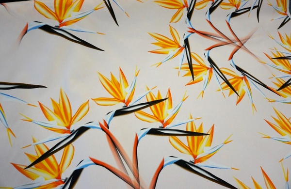 Birds of Paradise Flower Print on Stretch Drill