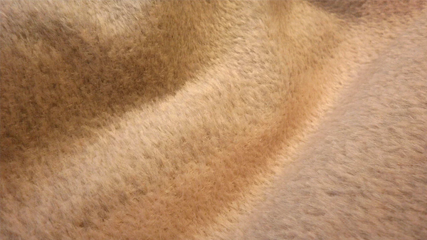 Gradating Stripe, Boucle with Short Nap
