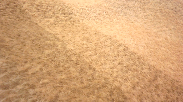 Gradating Stripe, Boucle with Short Nap